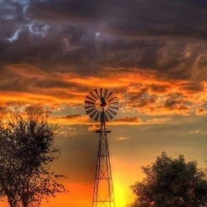 Meet your Posher, Lauri